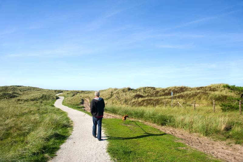 Ameland met hond: een onvergetelijke vakantie voor u en uw viervoeter